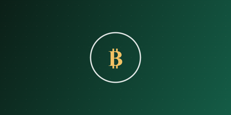 Bitcoin Transactions Today